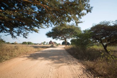 Myanmar. Bagan. Şehir tapınaklarının güzel manzarası.