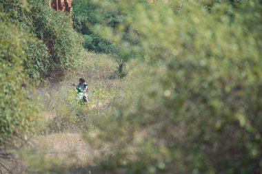 Myanmar. Bagan. Şehir tapınaklarının güzel manzarası.
