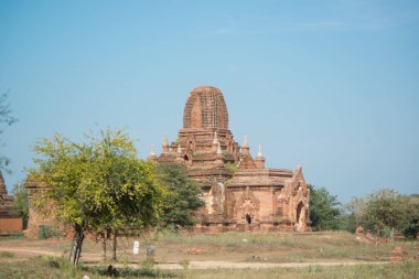Myanmar. Bagan. Şehir tapınaklarının güzel manzarası.