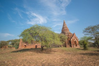 Myanmar. Bagan. Şehir tapınaklarının güzel manzarası.