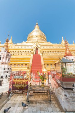 Myanmar. Bagan. Şehir tapınaklarının güzel manzarası.