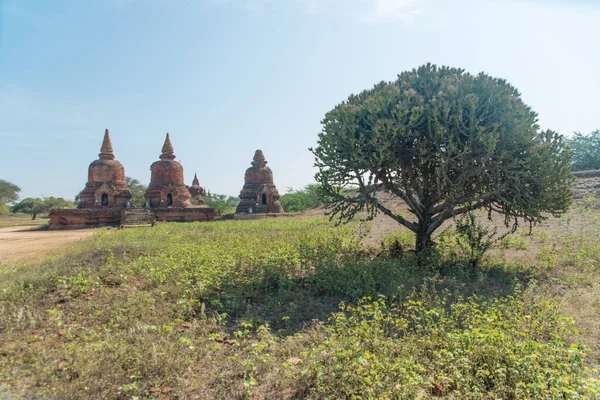 Myanmar Bagan Une Belle Vue Sur Les Temples Ville — Photo