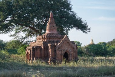Myanmar. Bagan. Şehir tapınaklarının güzel manzarası.