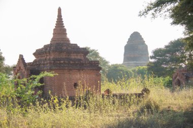 Myanmar. Bagan. Şehir tapınaklarının güzel manzarası.