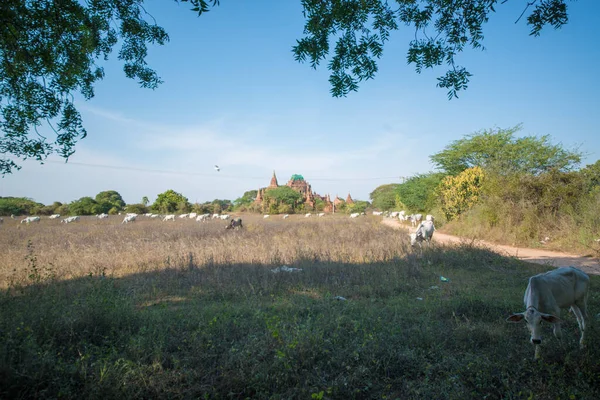 Myanmar Met Bagan Een Prachtig Uitzicht Tempels Van Stad — Stockfoto