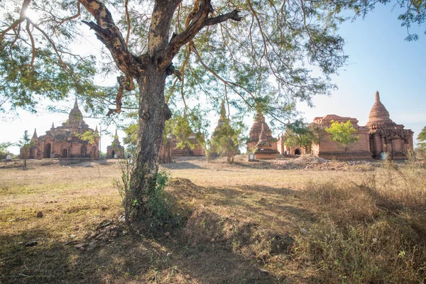 Myanmar Bagan Une Belle Vue Sur Les Temples Ville — Photo