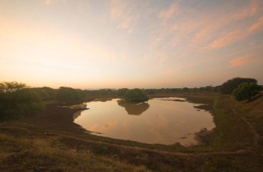 Myanmar. Bagan. Şehir tapınaklarının güzel manzarası.