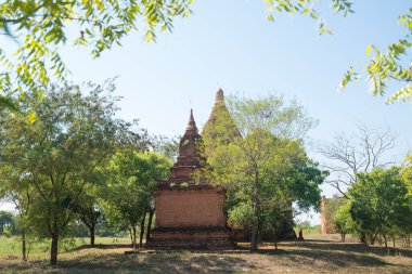 Myanmar. Bagan. Şehir tapınaklarının güzel manzarası.