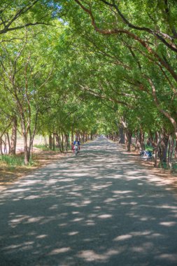 Myanmar. Bagan. Güzel bir şehir manzarası ve yerel halk..