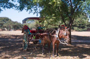 Myanmar. Bagan. Güzel bir şehir manzarası ve yerel halk..