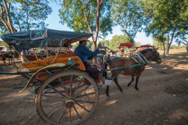 Myanmar. Bagan. Güzel bir şehir manzarası ve yerel halk..