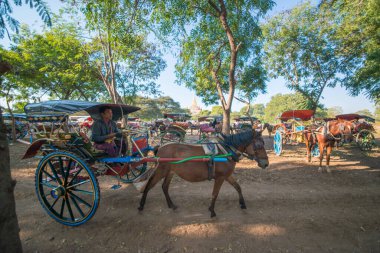 Myanmar. Bagan. Güzel bir şehir manzarası ve yerel halk..