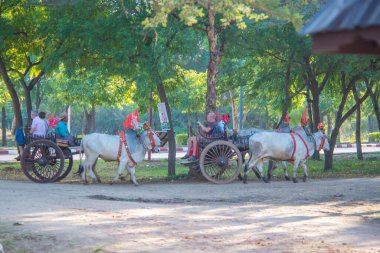 Myanmar. Bagan. Güzel bir şehir manzarası ve yerel halk..