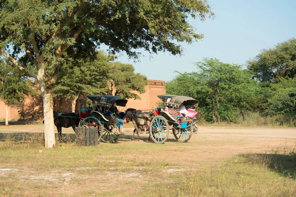 Myanmar Bagan Une Belle Vue Sur Les Temples Ville — Photo