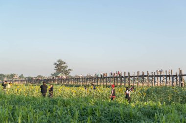 Myanmar. Mandalay. Amarapura Köprüsü