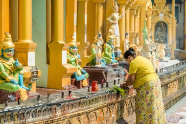 Myanmar. Yangon. Shwedagon Pagoda