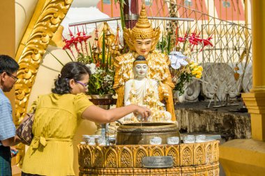 Myanmar. Yangon. Shwedagon Pagoda