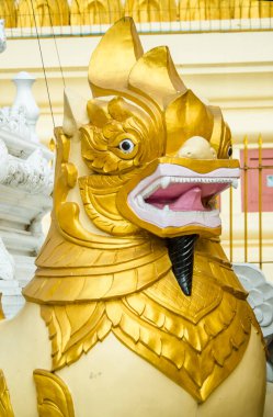 Myanmar. Yangon. Shwedagon Pagoda