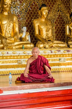 Myanmar. Yangon. Şehirdeki Shwedagon Pagoda.