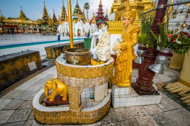 Myanmar. Yangon. Şehirdeki Shwedagon Pagoda manzarası.