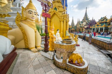 Myanmar. Yangon. Şehirdeki Shwedagon Pagoda manzarası.