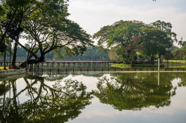 Myanmar. Yangon. Şehirdeki güzel bir park manzarası..