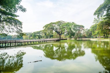 Myanmar. Yangon. Şehirdeki güzel bir park manzarası..