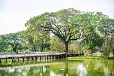 Myanmar. Yangon. Şehirdeki güzel bir park manzarası..