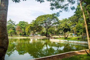 Myanmar. Yangon. Şehirdeki güzel bir park manzarası..
