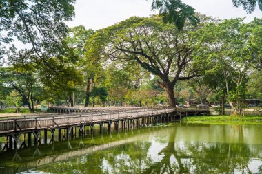 Myanmar. Yangon. Şehirdeki güzel bir park manzarası..