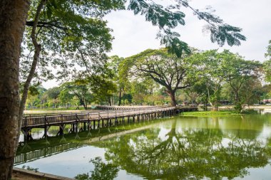 Myanmar. Yangon. Şehirdeki güzel bir park manzarası..