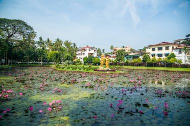 Myanmar. Yangon. Şehirdeki güzel bir park manzarası..