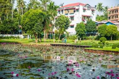 Myanmar. Yangon. Şehirdeki güzel bir park manzarası..