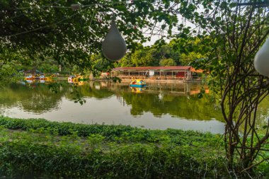Myanmar. Yangon. Şehirdeki güzel bir park manzarası..