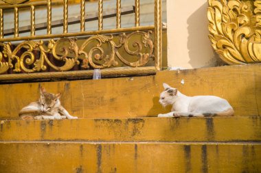 Myanmar. Yangon. Sule Pagoda