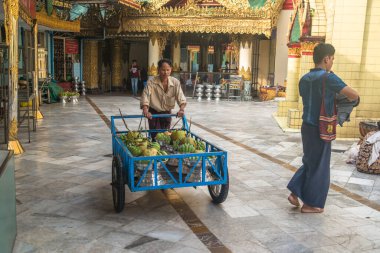 Myanmar. Yangon. Sule Pagoda