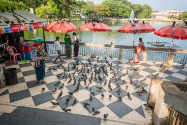 Myanmar. Yangon. Şehirde güzel bir göl manzarası.