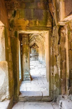Kamboçya. Siem Reap. Angkor Wat