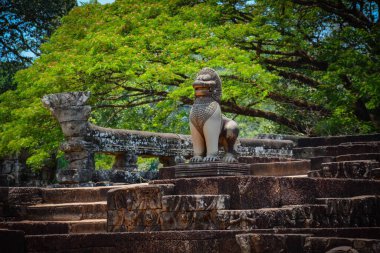 Kamboçya. Siem Reap. Angkor Wat