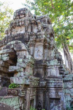 Harabeleri olan eski Budist tapınağı, Angkor Wat, Kamboçya