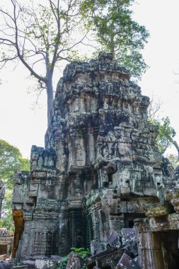 Harabeleri olan eski Budist tapınağı, Angkor Wat, Kamboçya