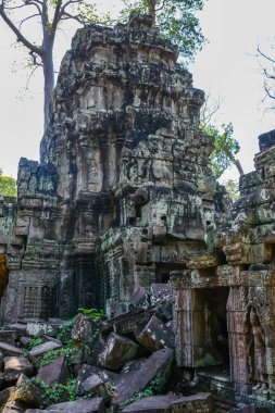 Harabeleri olan eski Budist tapınağı, Angkor Wat, Kamboçya