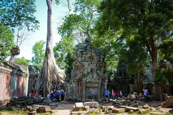 Harabeleri olan eski Budist tapınağı, Angkor Wat, Kamboçya