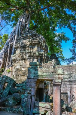 Harabeleri olan eski Budist tapınağı, Angkor Wat, Kamboçya