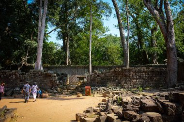 Kamboçya. Siem Reap. Angkor Wat 'taki Ta Prhom tapınağındaki güzel turist manzarası harabe..