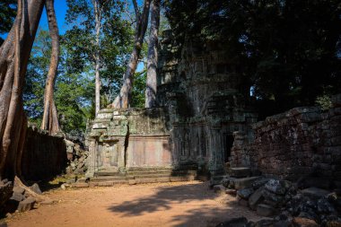 Harabeleri olan eski Budist tapınağı, Angkor Wat, Kamboçya