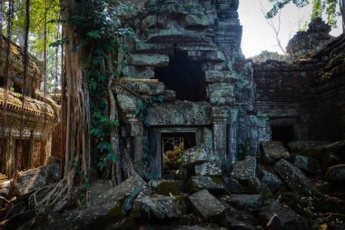 Harabeleri olan eski Budist tapınağı, Angkor Wat, Kamboçya
