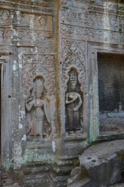Angkor Wat antik Budist tapınağı harabeleriyle, Kamboçya