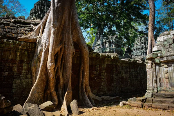 Alter Buddhistischer Tempel Mit Ruinen Angkor Wat Kambodscha — Stockfoto