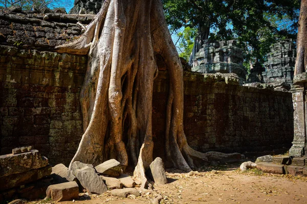 Alter Buddhistischer Tempel Mit Ruinen Angkor Wat Kambodscha — Stockfoto